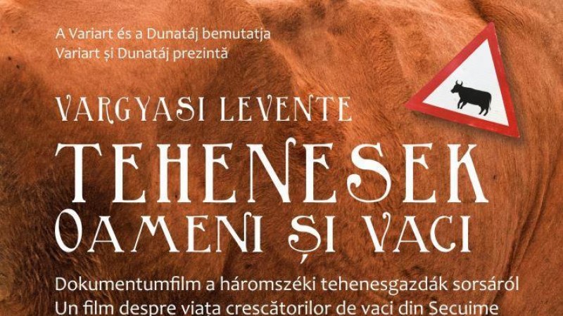 Tehenesek – online filmbemutató