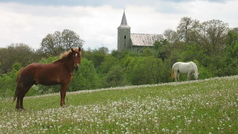 Bodonkúti vekkeróra – A Kossuth Rádió kora reggeli műsora Kalotaszegről