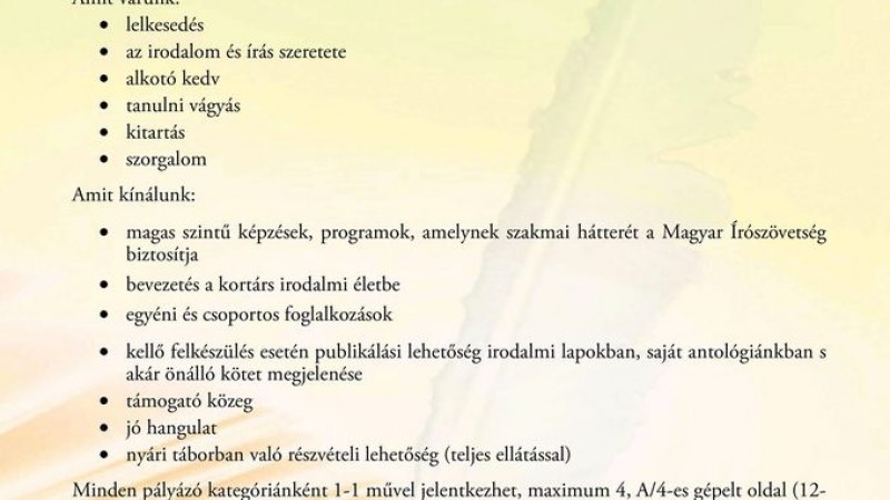 Irodalmi pályázat határon túli magyar középiskolásoknak