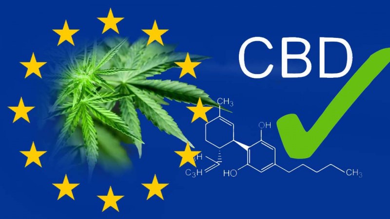 5 tipp, hogy jól döntsön – CBD olaj vásárlás (X)